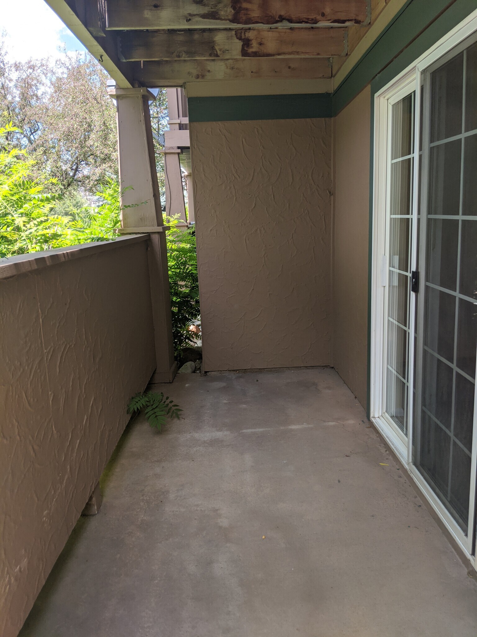 8101 Elk Ln unit 8101, Basalt, CO 81621 - photo 1