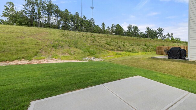 4354 Crimson Pass, Graniteville, SC 29829 - photo 6