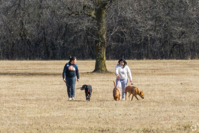 Residents love to walk their dogs at DIxmoor Playfield in Dixmoor.
