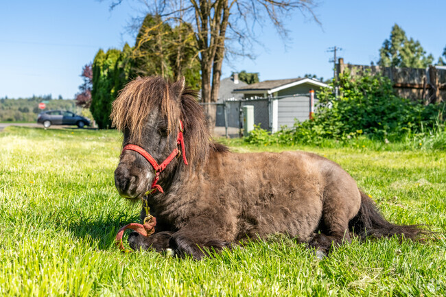 Crabtree is home to some of the cutest residents in Oregon.