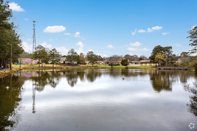 In Tyrone Park, Shamrock Lake offers beautiful views while walking the trail.