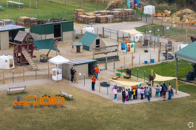 Kroll's Fall Harvest has a petting zoo that children love.