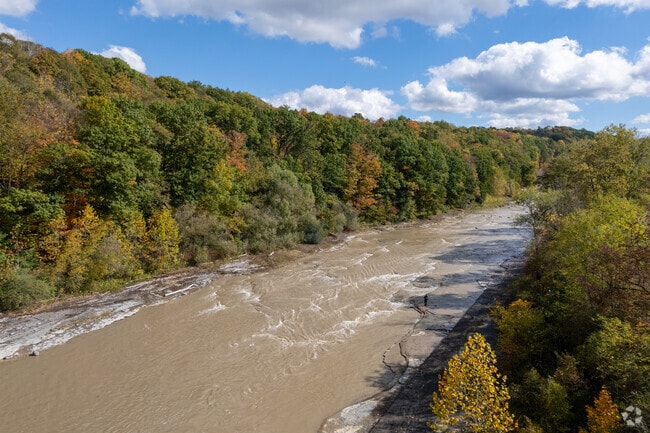 Scenic views along Cattaraugus Creek highlight Gowanda’s natural beauty.