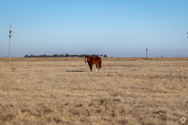Much of Garden City consists of farmland.