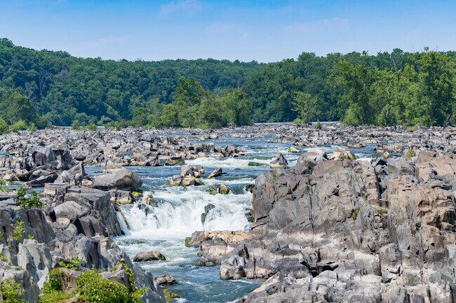 Dranesville's residents are less than 10 miles from scenic parks such as Algonkian Regional, Riverbend, Scott's Run Nature Preserve and Great Falls.