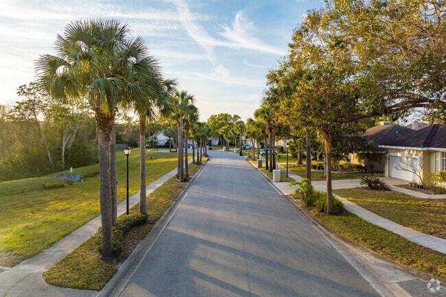 Palm trees line the streets of the Goldenrod neighborhood.