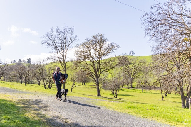 Sugarloaf Open Space is on the edge of Tice Valley and offers quiet and peaceful hiking.