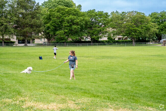 The expansive lawns of Jamaica Park are welcoming to all recreation in Meadwood.