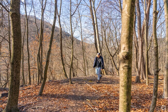 Residents in Upper Tulpehocken can take a hike along the Appalachian Scenic Trail.