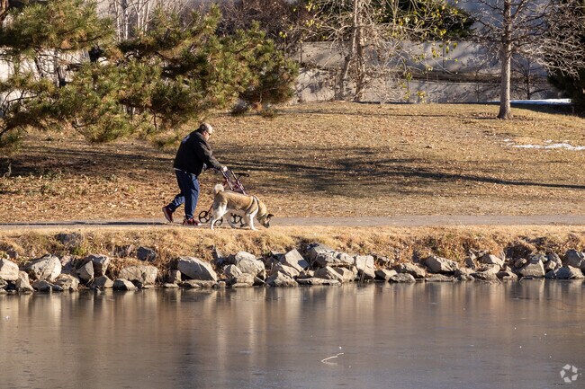 A man and his dog enjoying a morning walk in Little's Creek Park in Ketring Park.