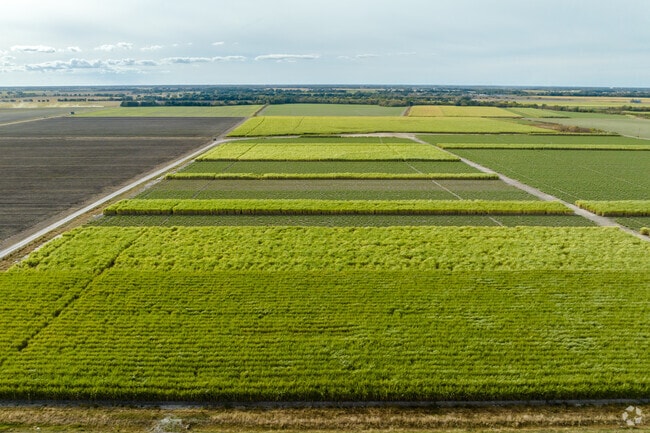 Picturesque farmland in Central Lafayette Parish, reminiscent of a modern painting.