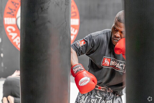 Vital Jiu Jitsu-Srisuk Muay Thai provides mixed martial arts training to the Fife Heights area.