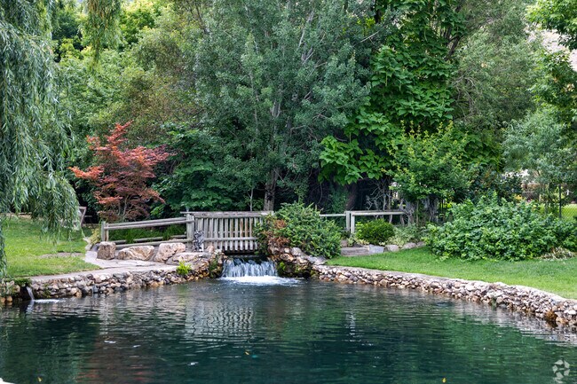 Cold Springs Trout Farm is surrounded by mature trees in shades of green and a bit of red.