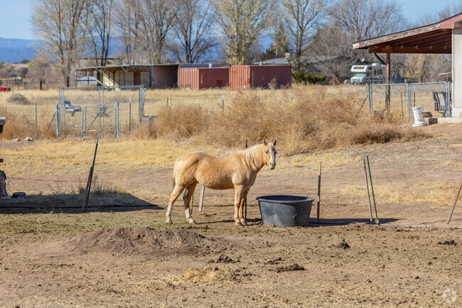 Many residents in Wineglass Acres have enough land to keep horses on site.