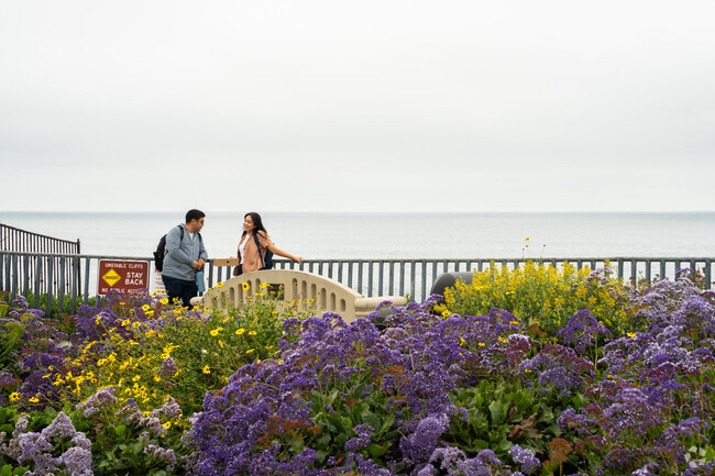 The flowers are always blooming near the beach in Bird Rock.