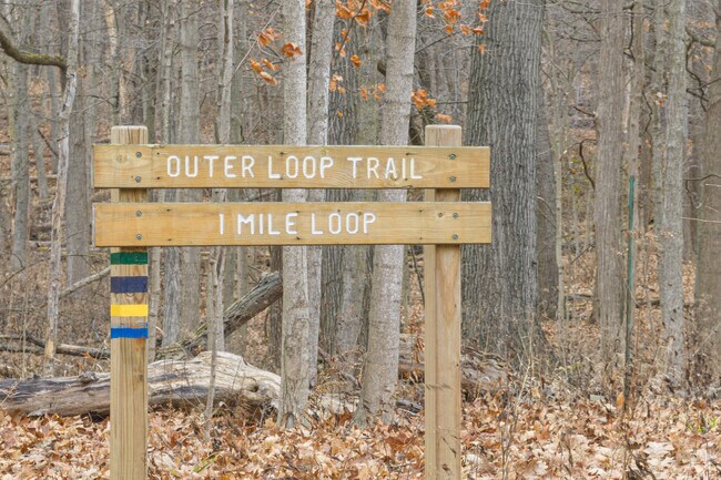 Enjoy a brisk morning walk at Pilcher Park Nature Center.