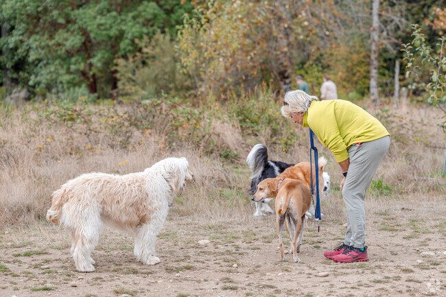 Bandix Dog Park offers 30 acres of trails and open space in Burley WA.