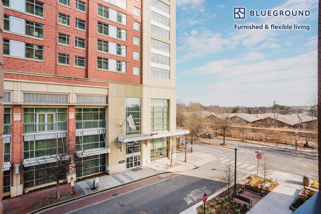 3030 Potomac Ave unit FL3-ID1018, Arlington, VA 22202 - photo 5