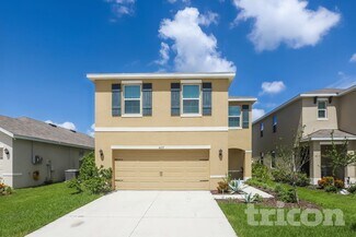 4127 Willow Hammock Dr, Palmetto, FL 34221