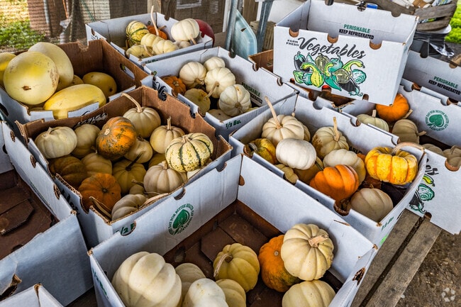 Dunkirk's Trott's Fresh Farm is a haven for farm-fresh delights.