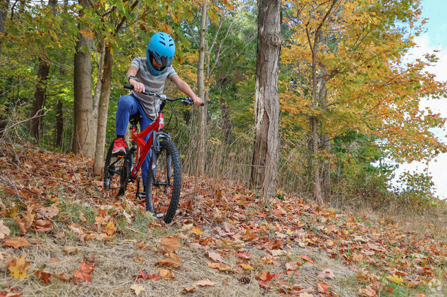 Kids in Centerville enjoy taking their bikes to Bald Hill to create jumps in the woods.