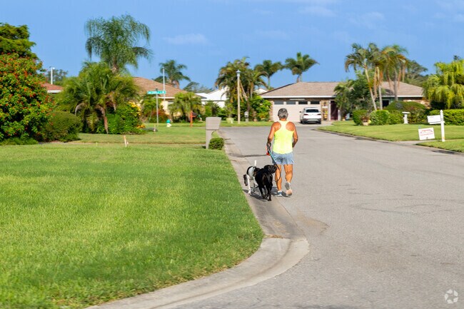 Residents of Venice Beach can be found out walking with their dogs on any given morning.