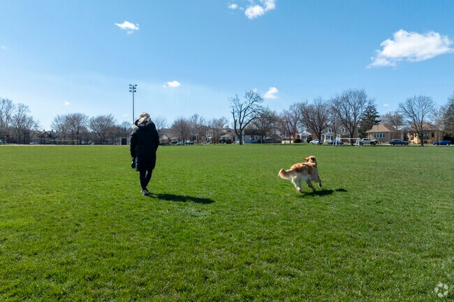 With a huge green field residents of Edison Park and their furry friends love Olympia Park.