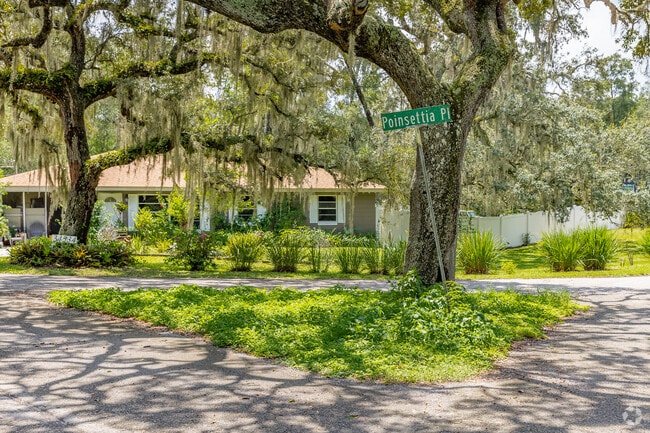 Tree-lined streets with 100-year-old oak trees define Ridge Manor.