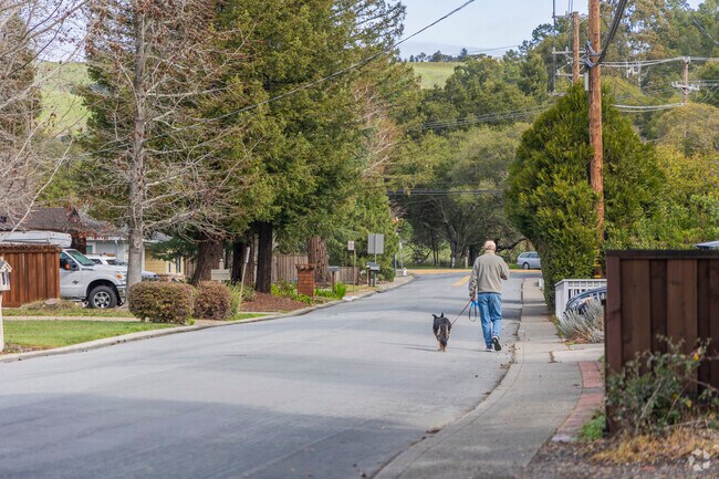 Del Rey's sidewalk-less streets are always full of local dog owners going for a stroll.