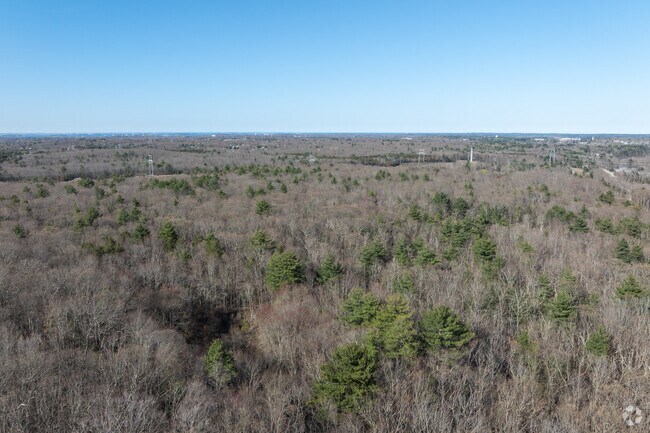 Enjoy the tranquility and miles of trails  at the Holbrook Town Forest.