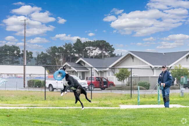 Your dog will love playing frisbee with you in McKinleyville at Carlson Park.