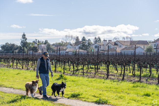 Residents enjoy walking dogs along the many vineyards winding their way through Wagner Farms.