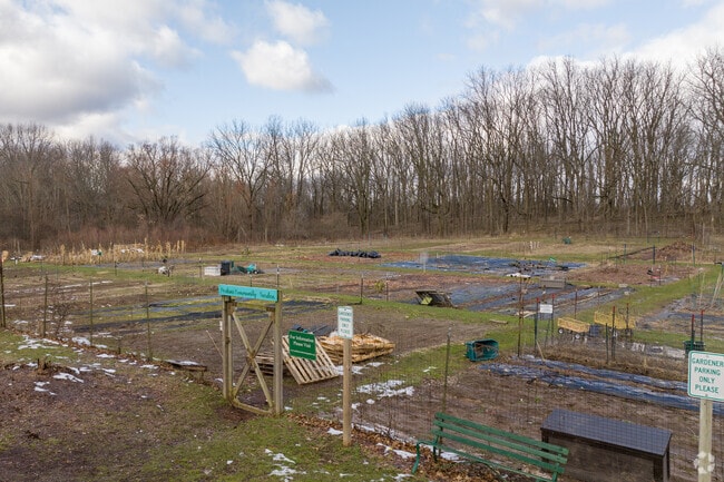 Residents can learn about nature and its importance at Ball Park in North East Citizens Action.