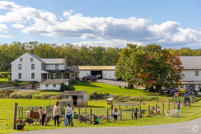 Enjoy the petting zoo with kids at Patches Family Creamery near Schaefferstown.
