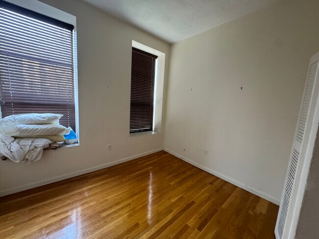 176 W Springfield St unit 1, Boston, MA 02118 - photo 4