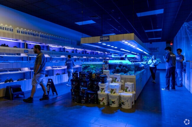 Williamsburg Downs shopping center features a great retail options such as World Wide Corals.