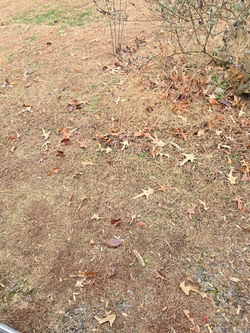 1002 Drinking Swamp Rd, Farnham, VA 22460 - photo 1