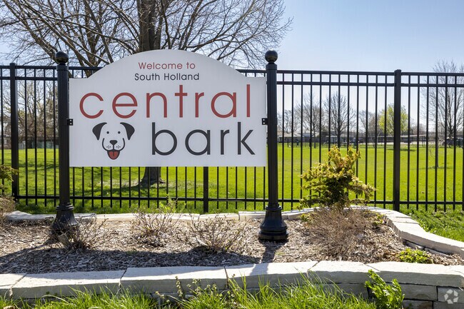 Central Bark is a great space for dogs to make friends and relax.