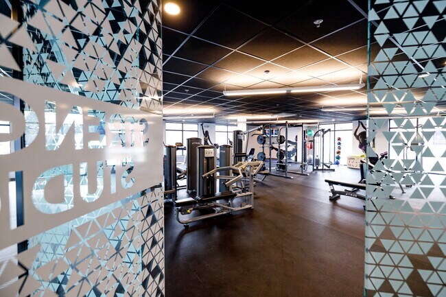 The Rise: Pine Hills, Albany, NY 12208 - photo 5