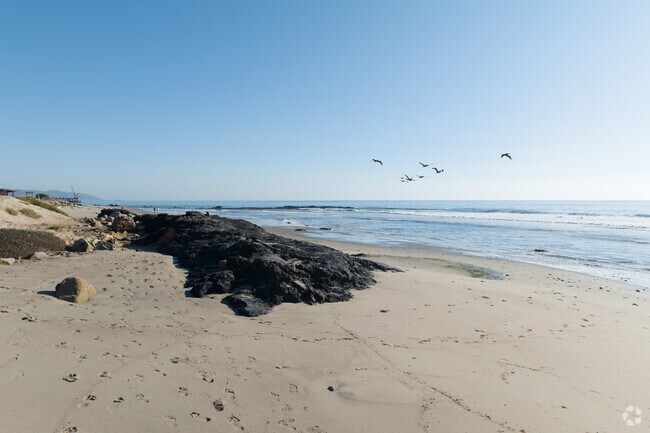 Tar Pits Park is a magnificent beach in Carpinteria.