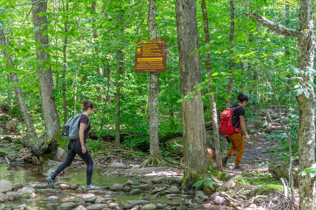 Locals and visitors enjoy the trails at the The Slide Mountain Wilderness Area in Shandaken.