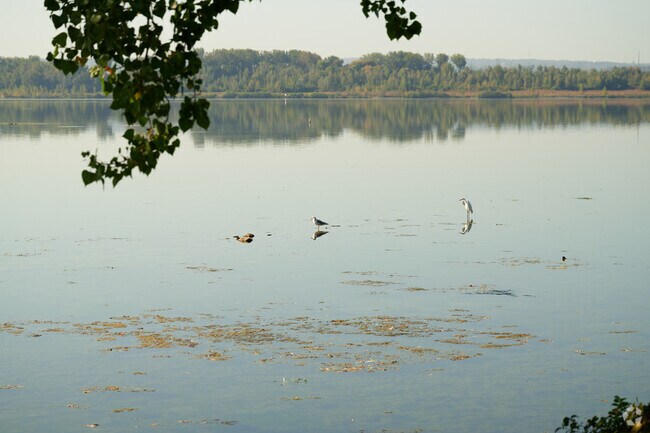 Butterfly Garden of Hope has a lake surrounded by forestry near Galeville, NY.