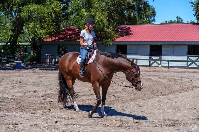 Horseback riding at Canter Down Farms is just minutes from Sugar Mill.