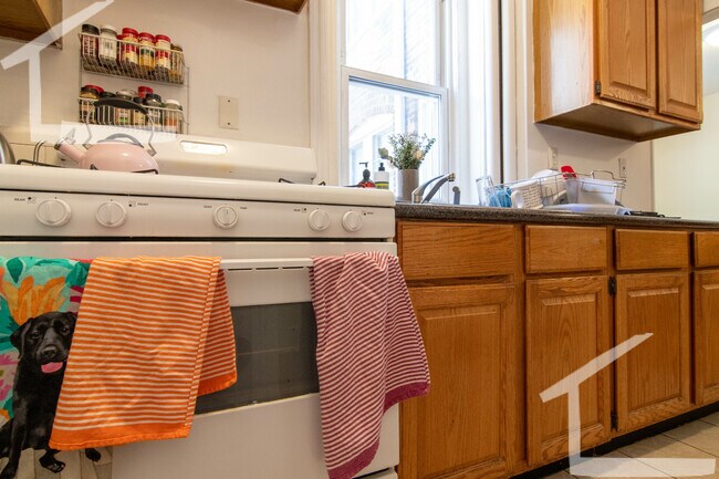 16 Fuller St unit 4, Brookline, MA 02446 - photo 7