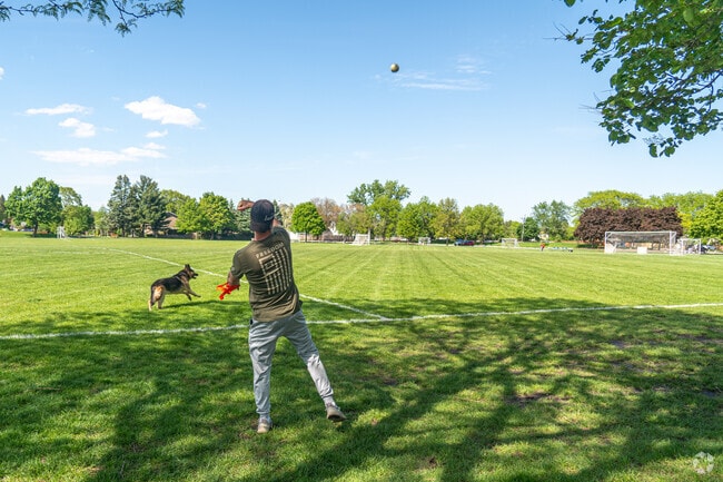 Dog owners play fetch at Briar Patch Park in North Danada.