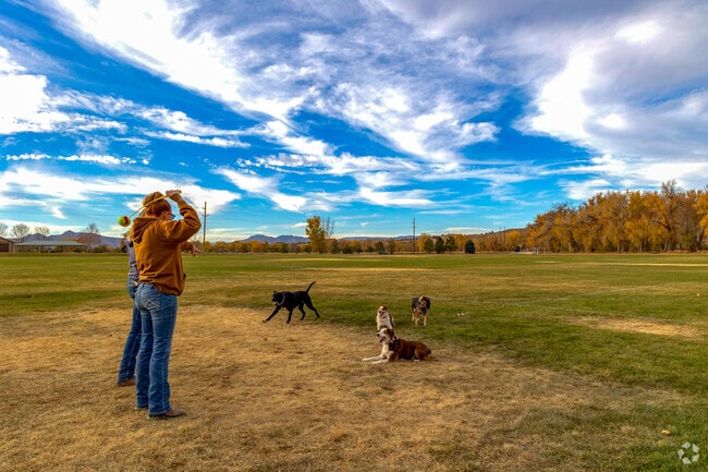 Florence’s parks are popular spots for dog owners and families.