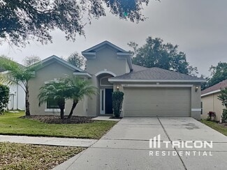 1143 Emerald Hill Way, Valrico, FL 33594