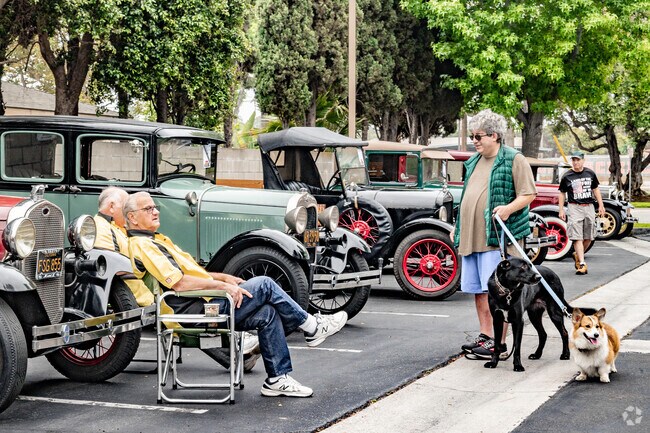 These dogs enjoyed getting on for the morning of the Father's Day Car Show at Cornerstone.