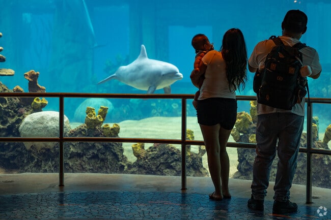 SeaWorld’s thrills and family fun are just minutes away from Fronterra at Westpointe, perfect for quick adventures and memorable days out.