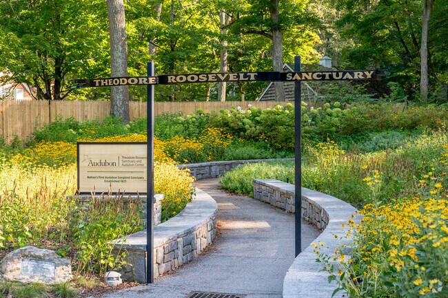 Explore 14 acres of native plants and trails at Theodore Roosevelt Sanctuary in Oyster Bay Cove.